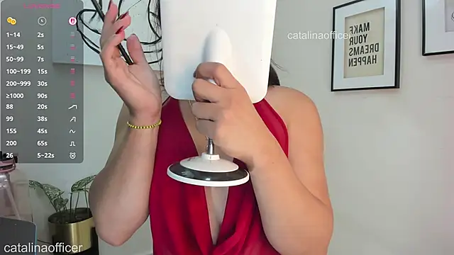 Snapshot of catalinaofficer chatting on February 2026 01:20:02 AM catalinaofficer online show from February 2026 01:20:02 AM