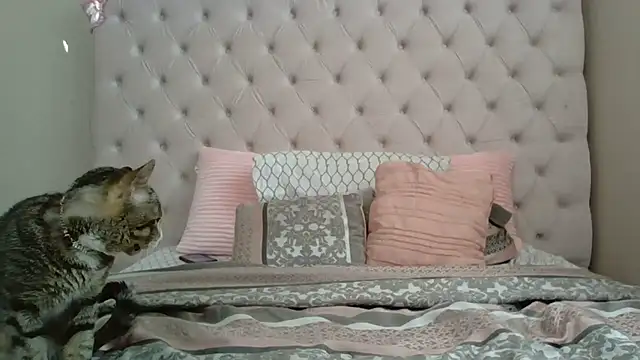 beautylovess online show from December 2025 02:35:01 PM