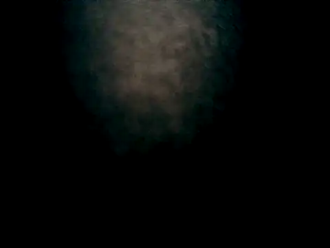 Latinjim29 online show from January 2026 02:16:02 AM