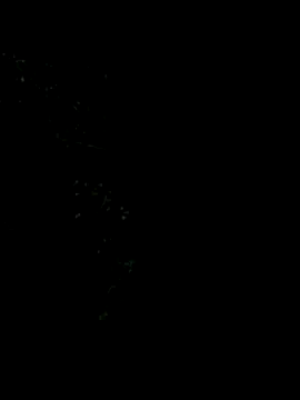 Ixchel Anaid online show from January 2026 11:52:02 PM