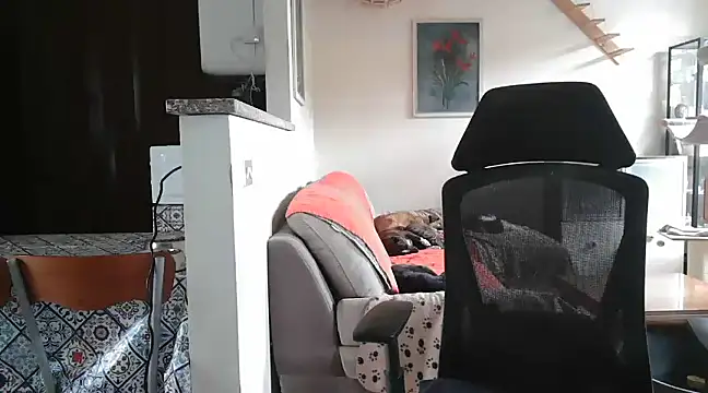 simona60 online show from February 2025 02:14:02 PM