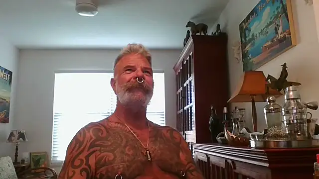 njdbear online show from September 2025 10:11:02 PM