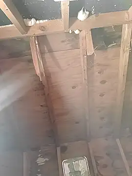 MaddyC6992 online show from December 2024 12:49:01 PM