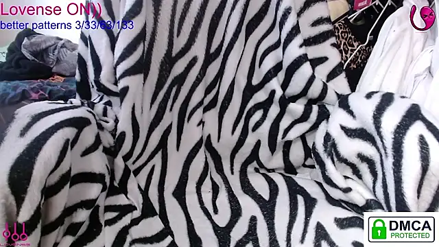 sweet cute cat online show from March 2026 10:48:02 AM