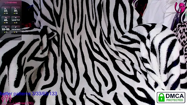 sweet cute cat online show from June 2026 08:06:01 AM
