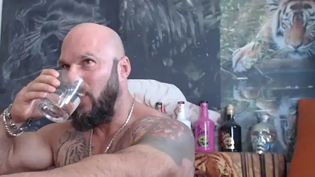 viking 30 online show from September 2025 09:42:02 AM