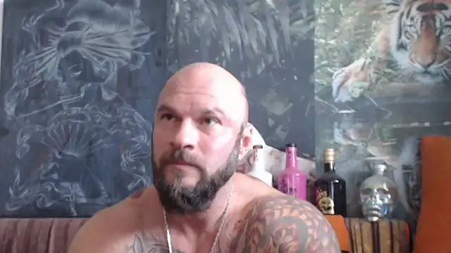 viking 30 online show from September 2025 06:13:02 AM