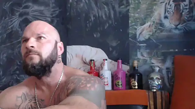 viking 30 online show from September 2025 10:17:02 AM