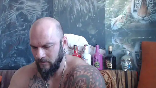 viking 30 online show from September 2025 05:44:01 AM