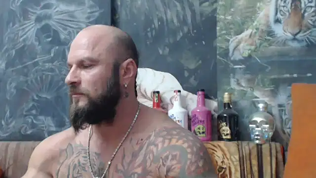 viking 30 online show from September 2025 06:33:01 PM