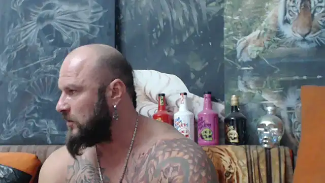 viking 30 online show from September 2025 06:44:02 PM