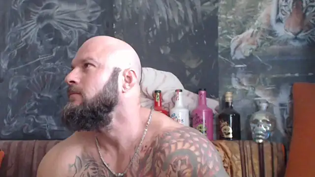 viking 30 online show from September 2025 06:51:02 AM