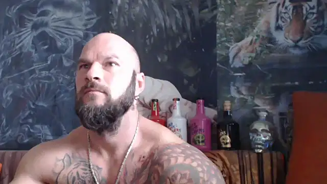 viking 30 online show from October 2025 09:27:01 AM