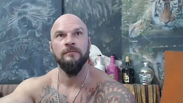 viking 30 online show from October 2025 02:48:01 PM