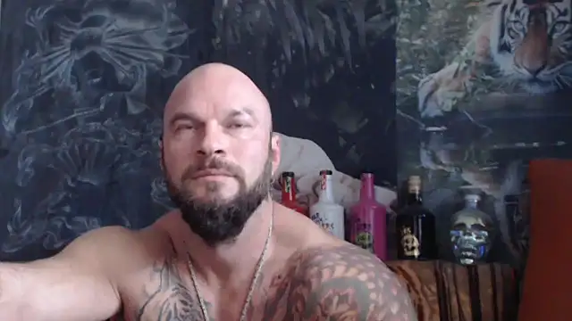 viking 30 online show from October 2025 10:24:01 AM