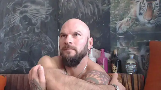 viking 30 online show from October 2025 07:18:02 AM