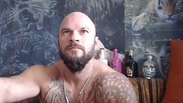 viking 30 online show from October 2025 07:08:01 AM