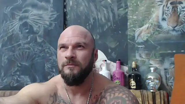 viking 30 online show from October 2025 07:25:02 PM