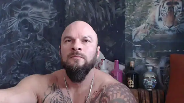 viking 30 online show from November 2025 07:51:02 AM