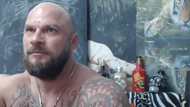 viking 30 online show from June 2026 06:36:02 PM