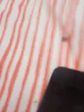 Snapshot of MRbigc23 chatting on May 2026 03:08:01 PM MRbigc23 online show from May 2026 03:08:01 PM