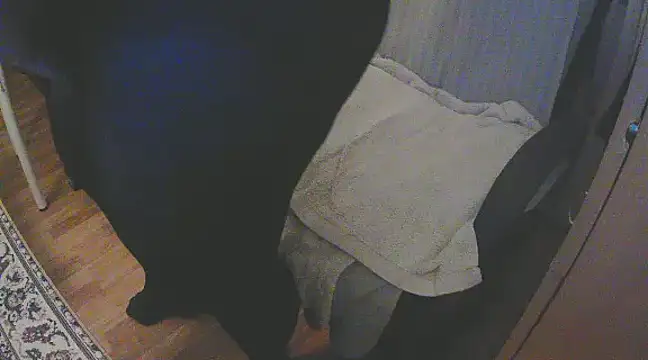 szadamo online show from December 2024 04:53:02 PM