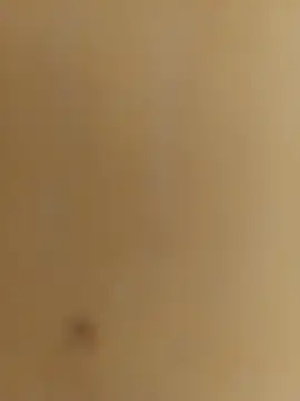 Snapshot of mprena chatting on September 2025 02:17:01 PM mprena online show from September 2025 02:17:01 PM