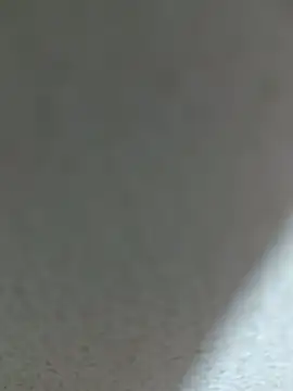 Fghjxdgbbcd online show from January 2026 09:36:01 AM