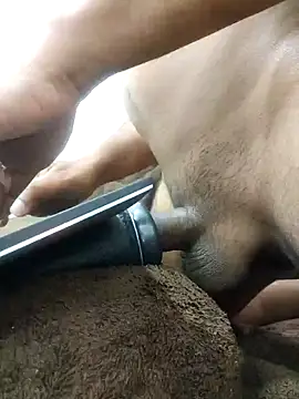 indianbulldelhi online show from January 2025 07:45:02 AM