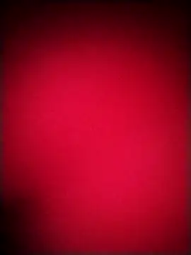 EvaCristal online show from December 2025 09:49:01 AM