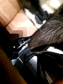 Dirtyfeelin online show from November 2025 02:43:02 PM