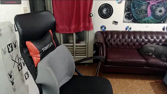 Snapshot of xherry_horny chatting on February 2025 05:05:02 AM xherry horny online show from February 2025 05:05:02 AM