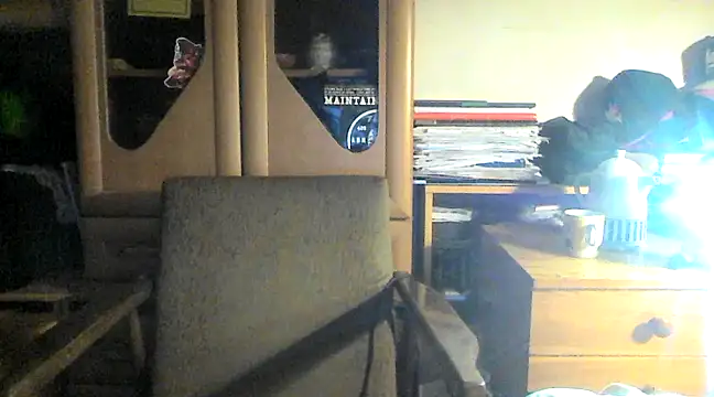 Snapshot of FireFox_Feel chatting on March 2025 10:33:01 PM FireFox Feel online show from March 2025 10:33:01 PM