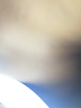 roman and jessie online show from June 2026 06:41:01 AM