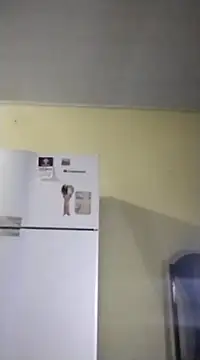 Snapshot of catdool chatting on February 2025 10:07:01 AM catdool online show from February 2025 10:07:01 AM