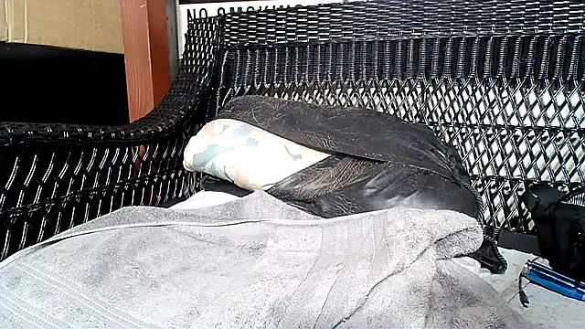 HungHawaiian808xh online show from January 2025 10:01:01 PM