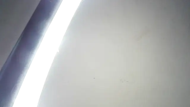 RinsingWood84 online show from March 2026 09:21:02 PM