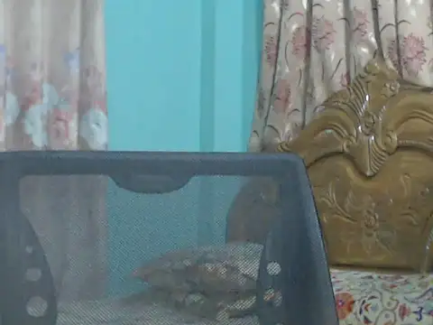 NancyRuvi online show from September 2025 03:22:02 PM