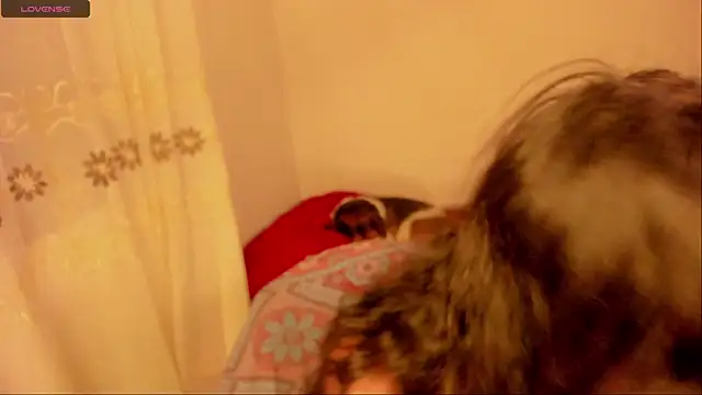 Snapshot of aluna_0310 chatting on January 2025 11:59:02 PM aluna 0310 online show from January 2025 11:59:02 PM