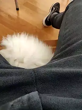 Snapshot of papiculo86 chatting on February 2025 09:08:02 AM papiculo86 online show from February 2025 09:08:02 AM