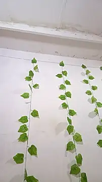 Snapshot of shayna_all chatting on November 2025 06:08:01 PM shayna all online show from November 2025 06:08:01 PM