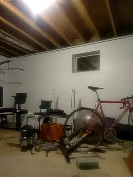 Rubisco90 online show from December 2024 12:30:01 AM