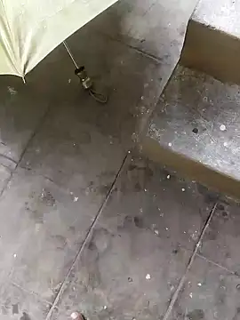 rameshmry1 online show from December 2024 08:14:02 AM