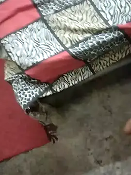 rameshmry1 online show from January 2025 01:50:01 AM