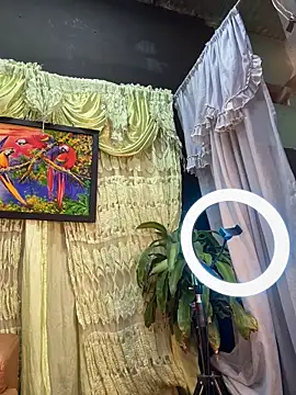 uma patna000 online show from February 2025 07:51:02 AM