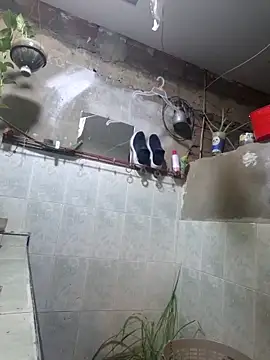 Bas2428 online show from April 2026 11:35:01 PM