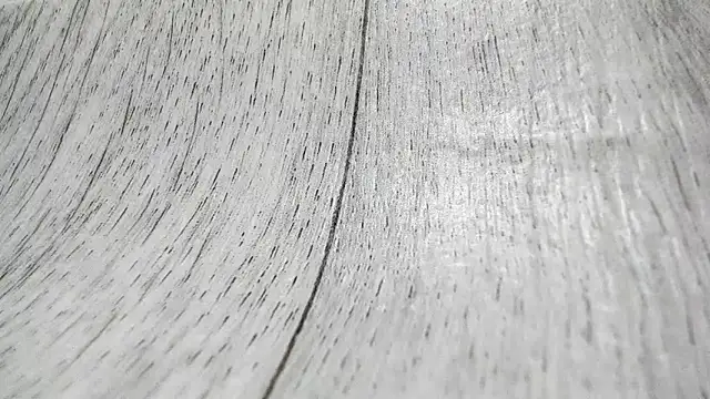 LittleSonya online show from December 2025 04:55:02 PM