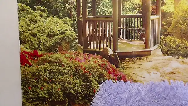 Pavla Soft online show from April 2026 09:01:02 AM