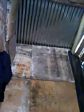 Snapshot of Johnny_emboh chatting on October 2025 10:14:01 AM Johnny emboh online show from October 2025 10:14:01 AM