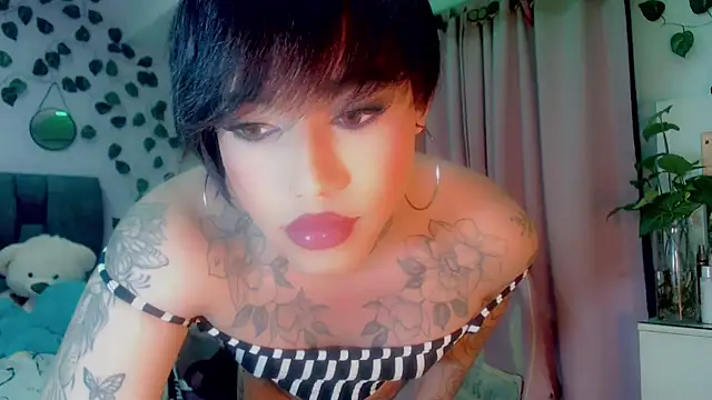 little star porn online show from January 2025 08:51:02 AM